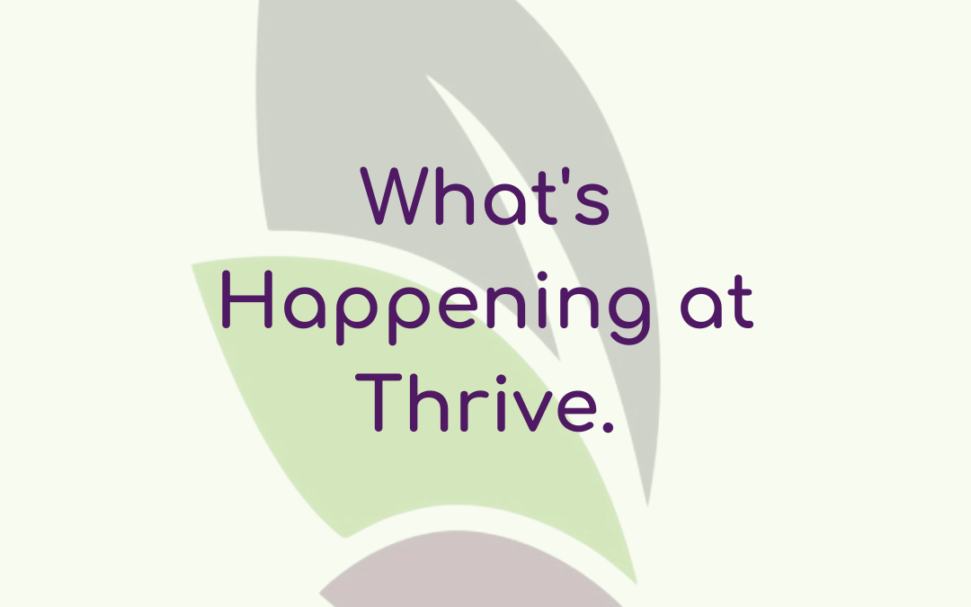 Spring Newsletter 2023